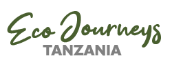 Eco-Journeys-Logo-